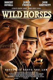 Vahşi Atlar – Wild Horses izle